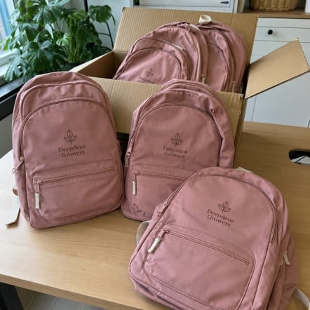Custom Logo Backpacks
